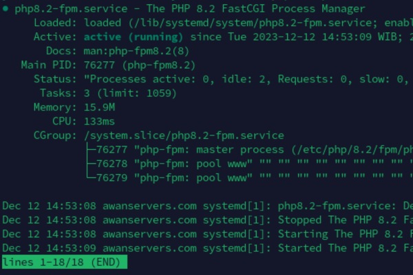 PHP8.2-FPM Status - www.awanservers.com