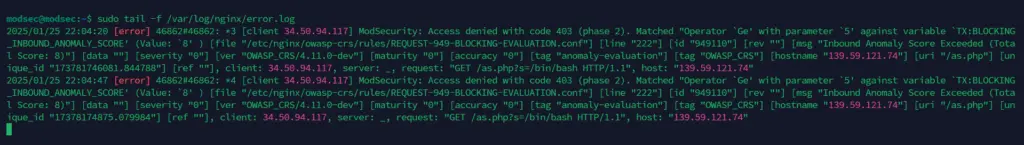 Error Log Nginx ModSecurity