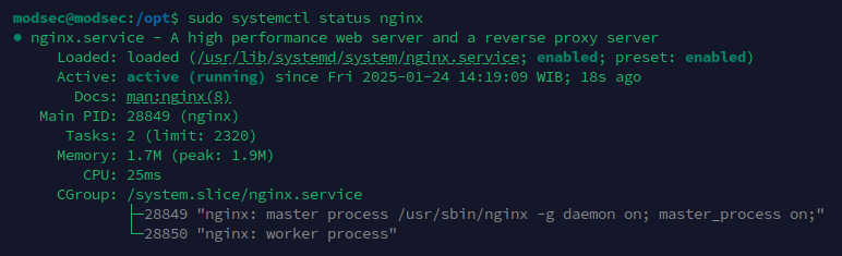 ModSec - Install Nginx